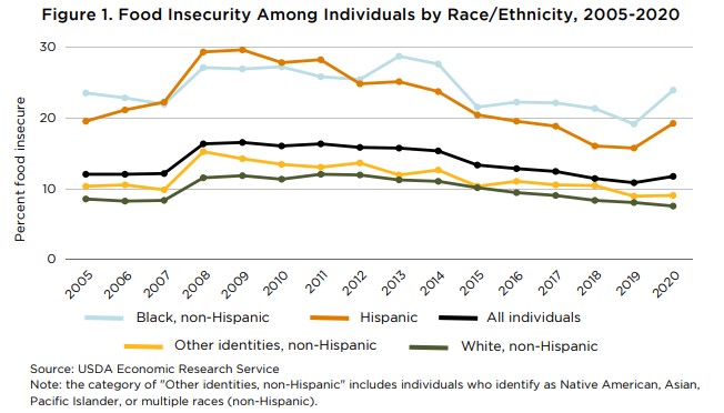 Figure 1. Food Insecurity Among Individuals by Race/Ethnicity, 2005-2020