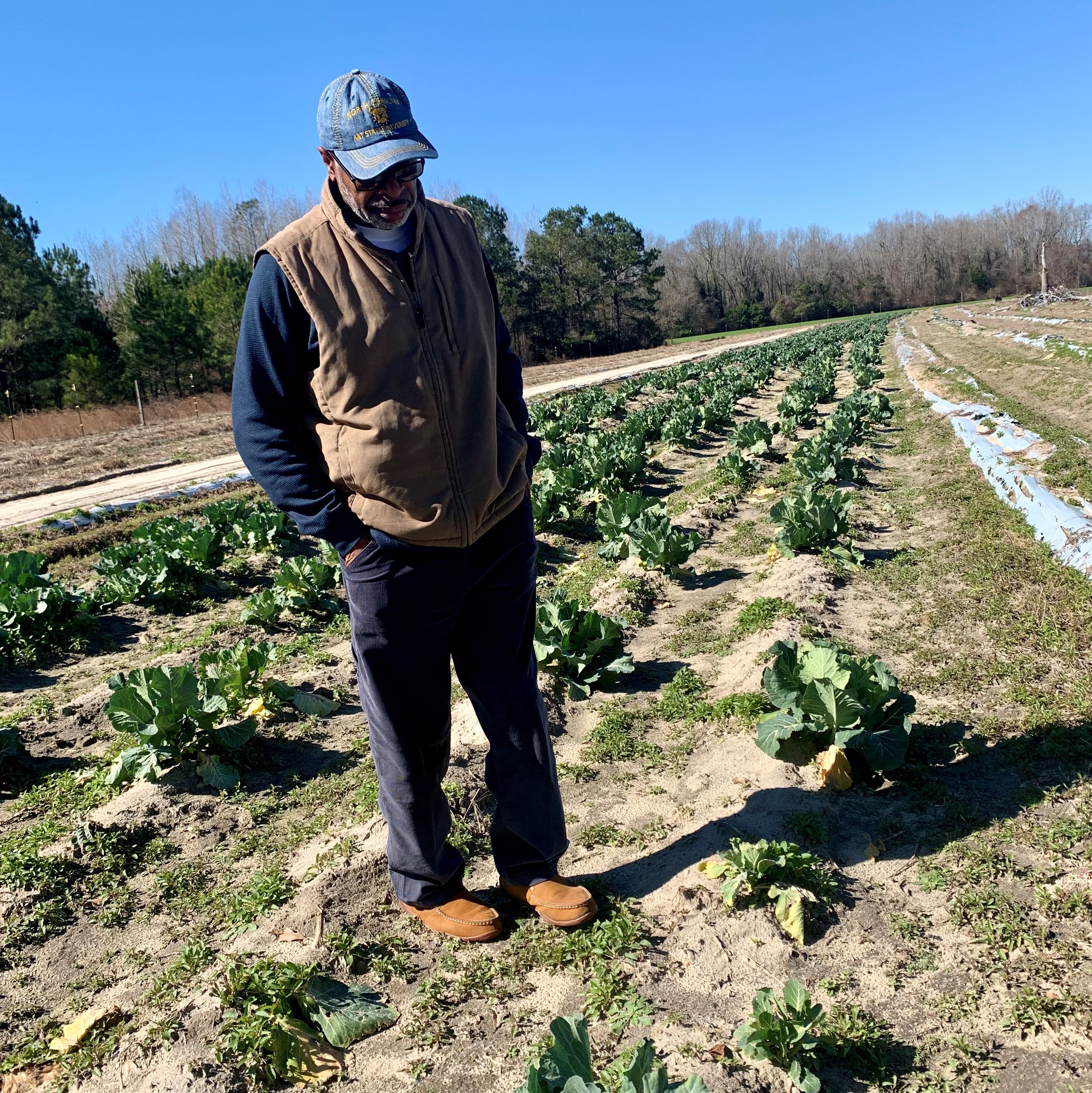 Willie Capehart of Purple Passion Farm