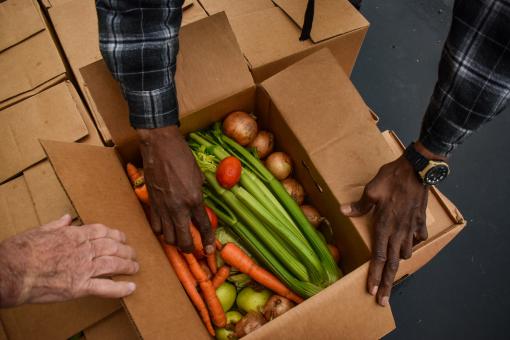 Food Donation box